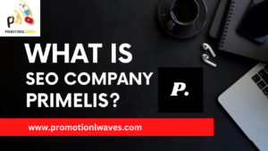 SEO Company Primelis